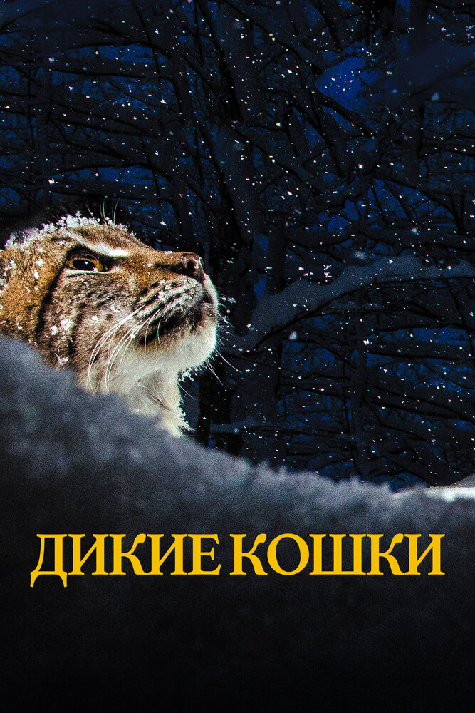 Дикие кошки (2021)