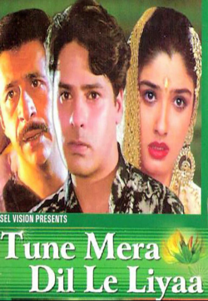 Tune Mera Dil Le Liyaa (2000)